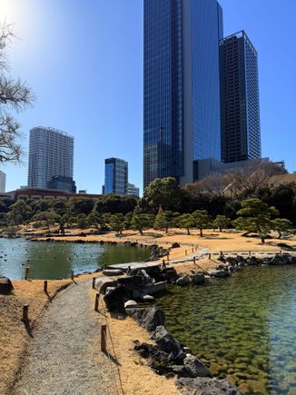 It only took 15 mins from airplane door to entering Japan. Sadly there was a 2 hour delay on our connecting JAL domestic flight to Sapporo. So we took the monorail to visit Kyu-Shiba-rikyū Gardens for a quick wander. Returning to HND T1, we learnt of an indefinite delay on our flight…