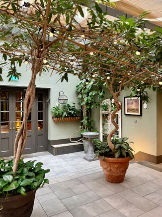 The Garden