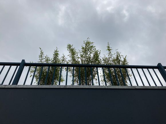 Just a warning : don't brag or moan to loud or in any case sit au naturel / in your birthday suit / or as Venus unadorned because the terrace of the Penthouse de Witt is right above you .... unless you want them to join in .... but i digress...