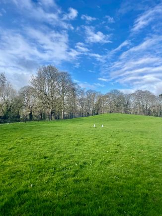 Park 
