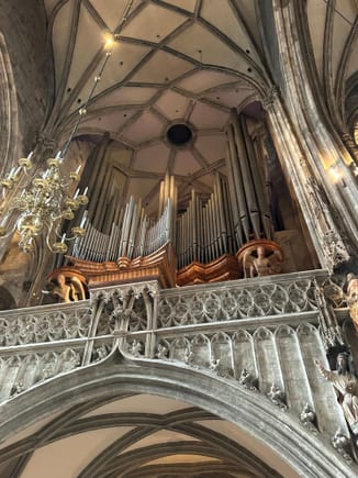 One of if not the most impressive organs I've ever seen