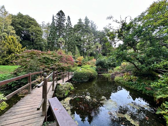 Japanese garden