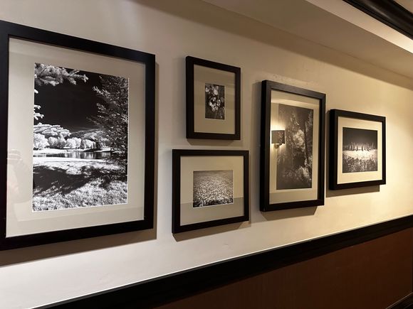 Lobby is decorated with infrared artwork. Cool local touch. 