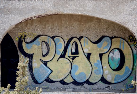 Educated graffiti!