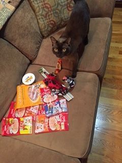 kitty santa