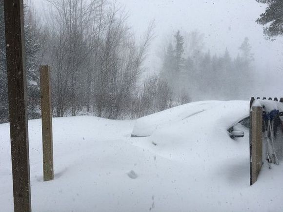 IMG 0031