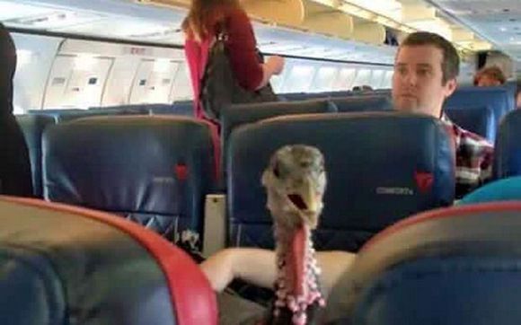 Let me add this to you Mutual of Omaha's Wild Kingdom list.