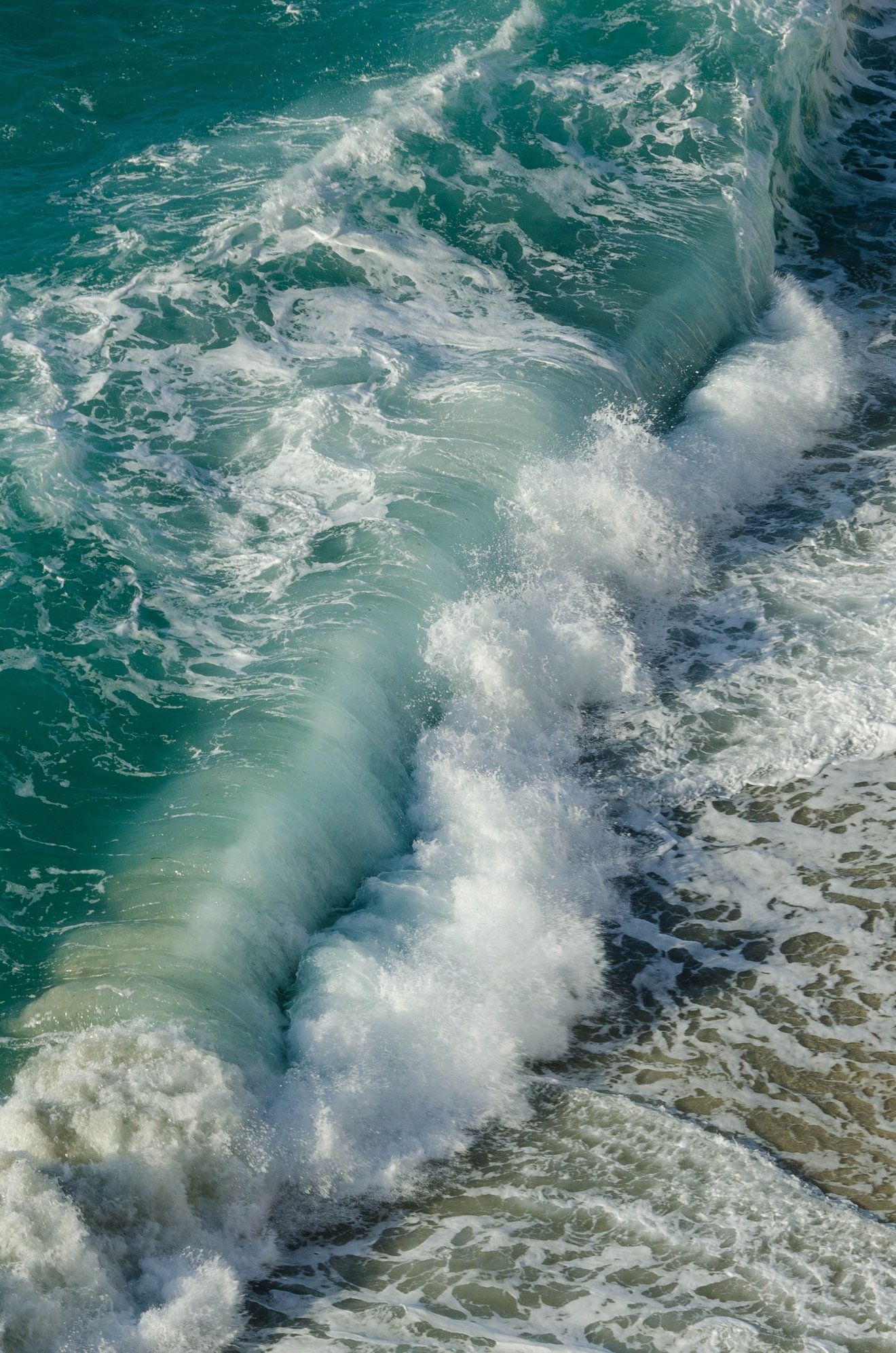 Swimmers may think that theyve died...