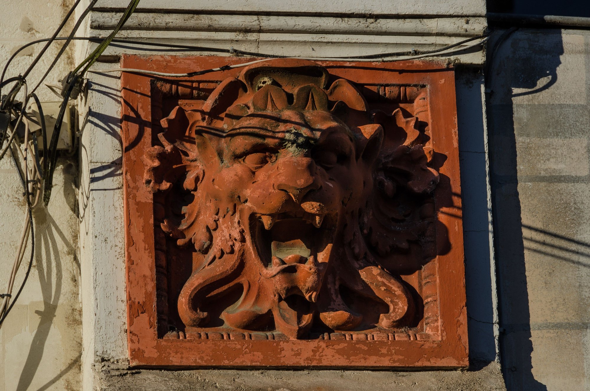 A pair of lions.