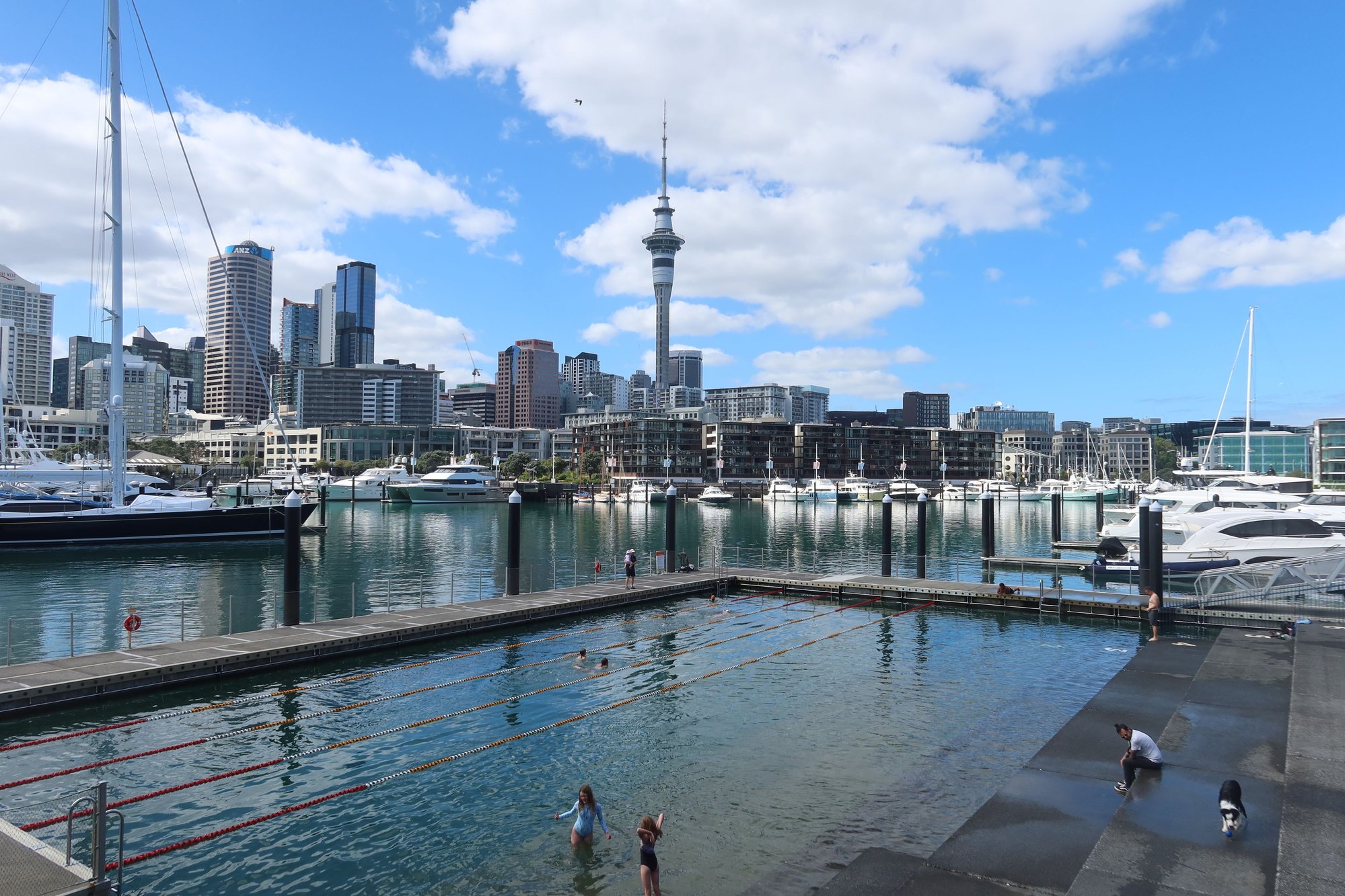 Auckland Skyline