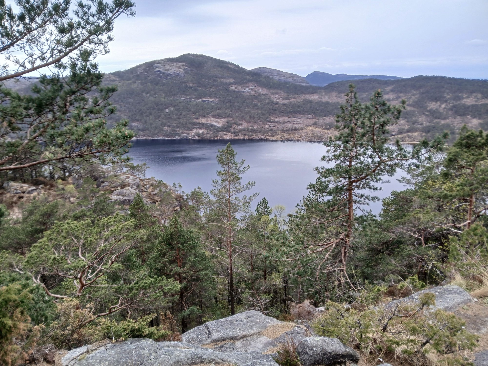 Early peek at the fjord from above the treeline