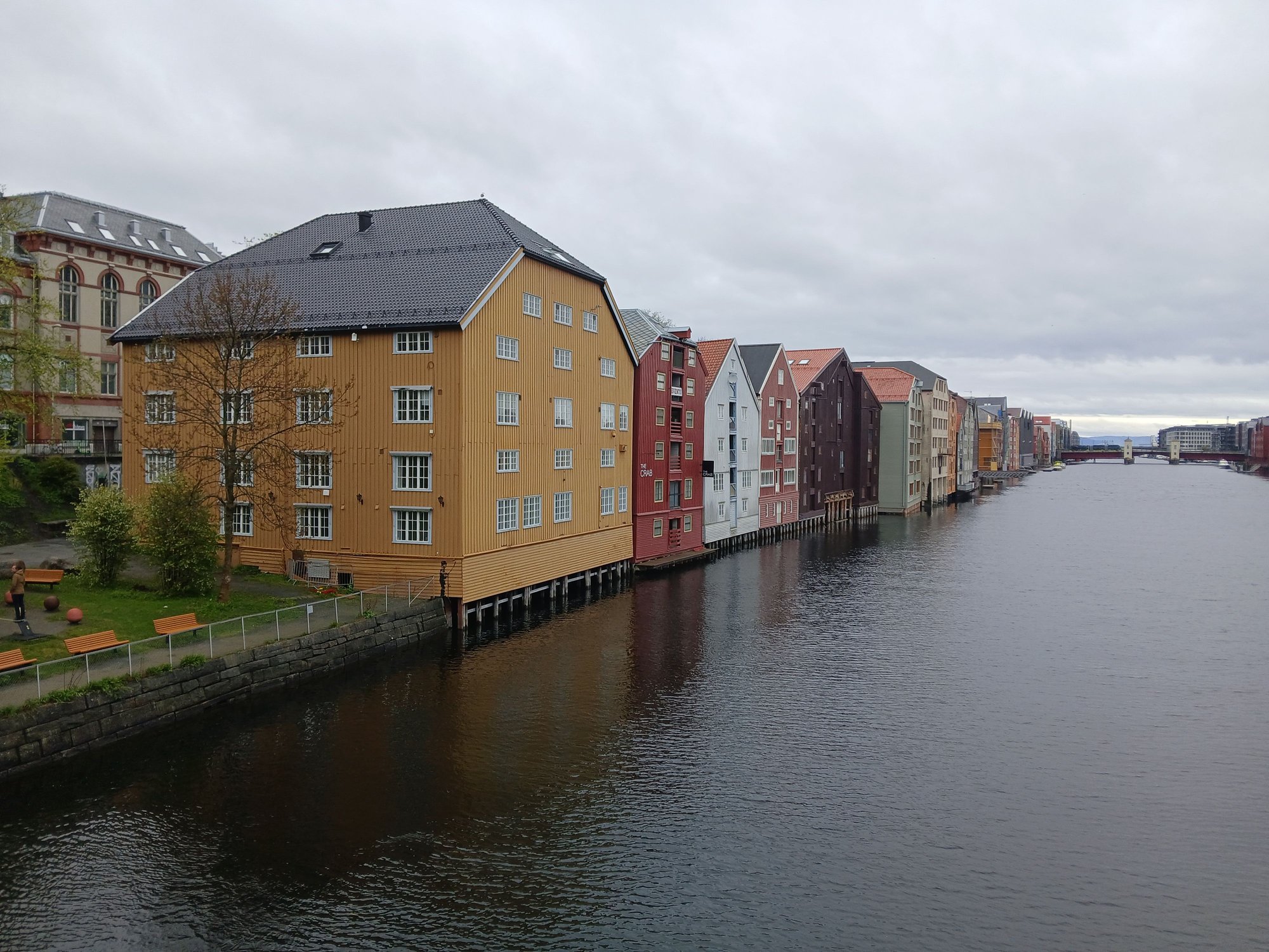 Lining the left bak of the Nidelven river