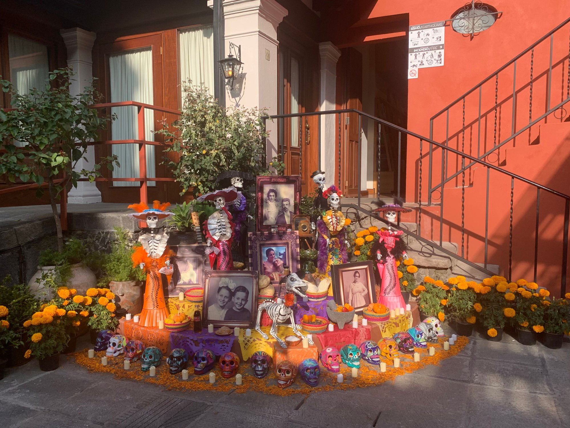 The ofrenda at the Kahlo family museum.