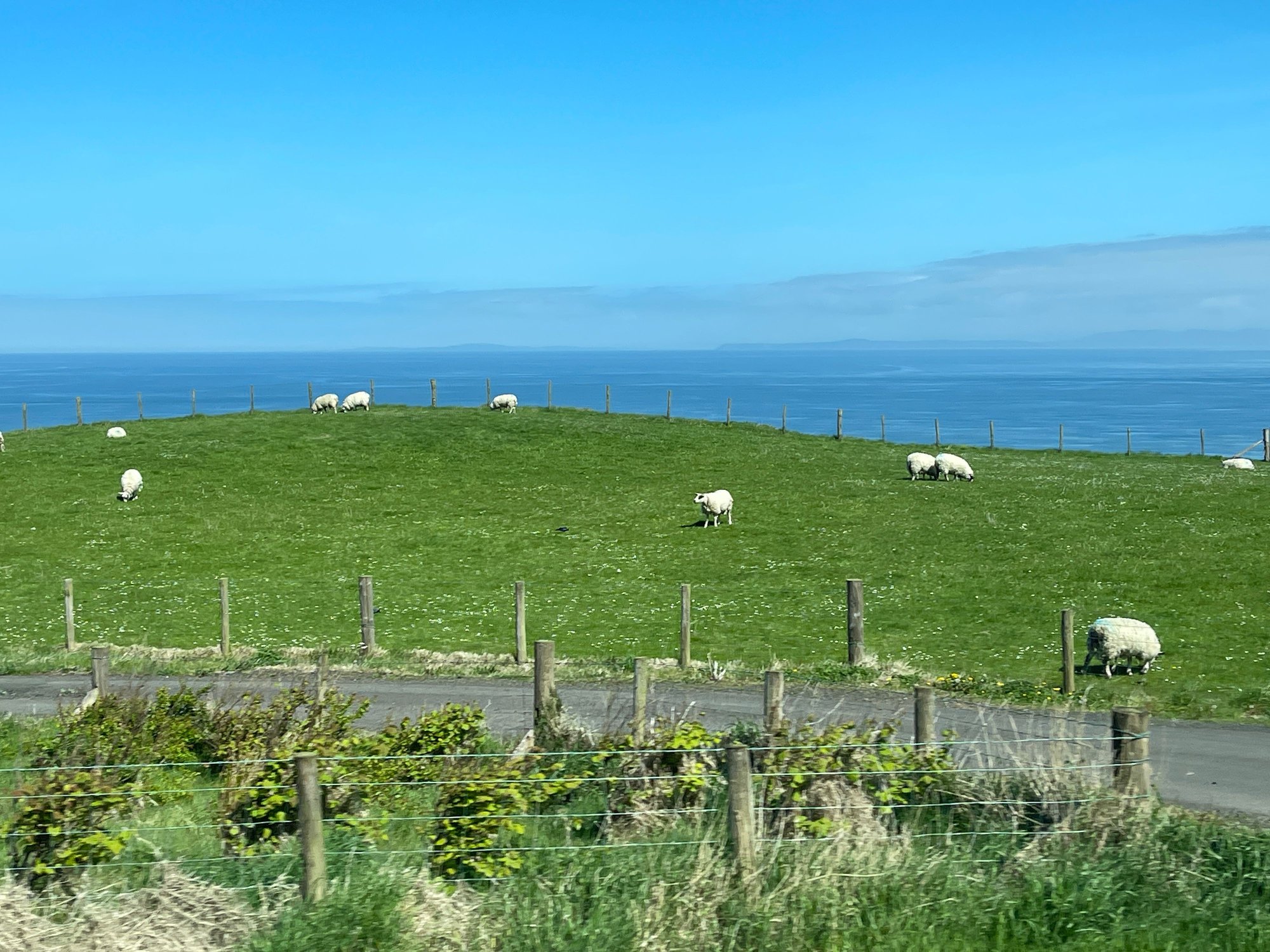 Along the coast