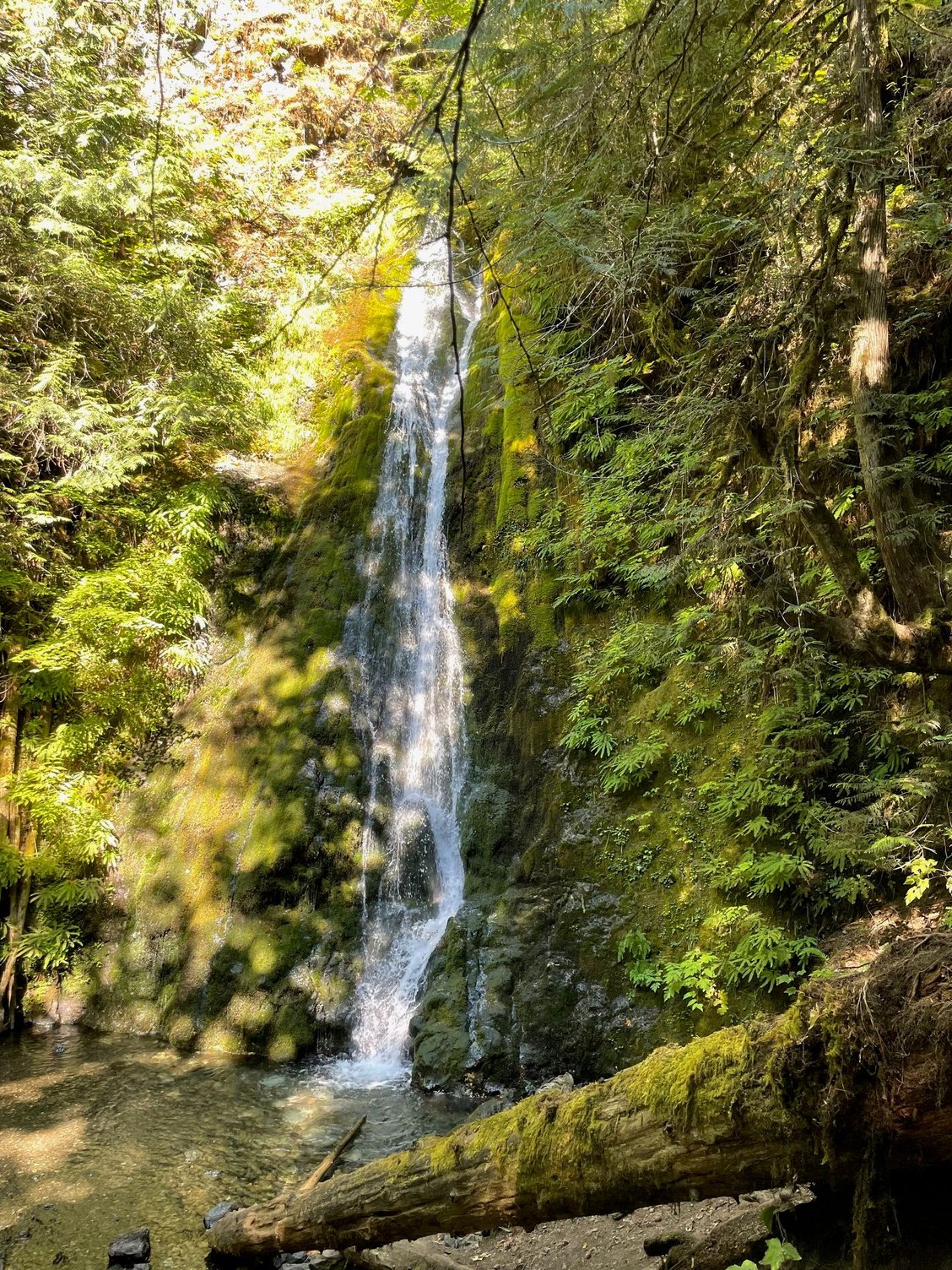 Madison Falls. Nice falls and so close to get to, so that makes it worth it to visit.
