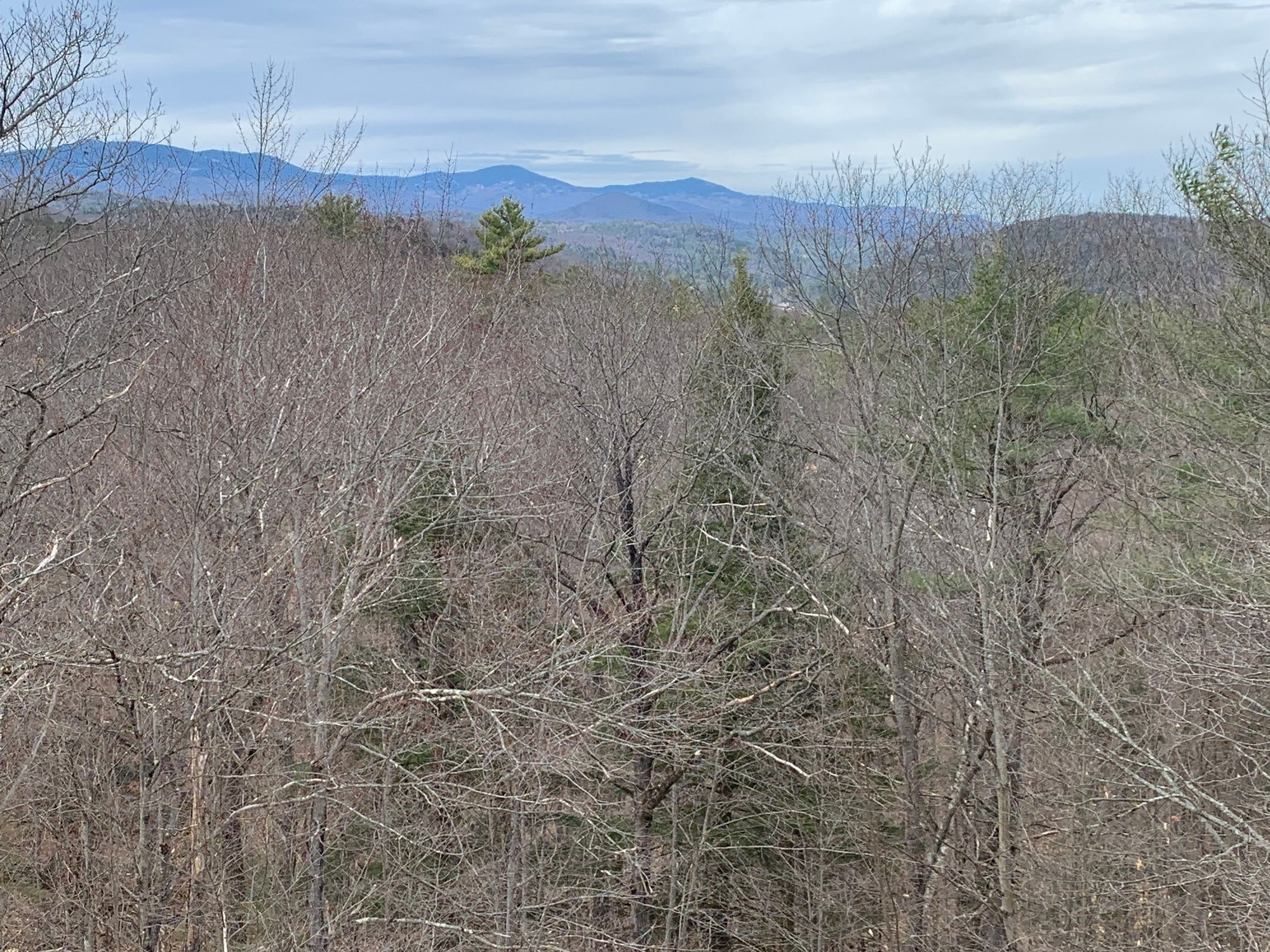 View from top of Hubbard Park Tower