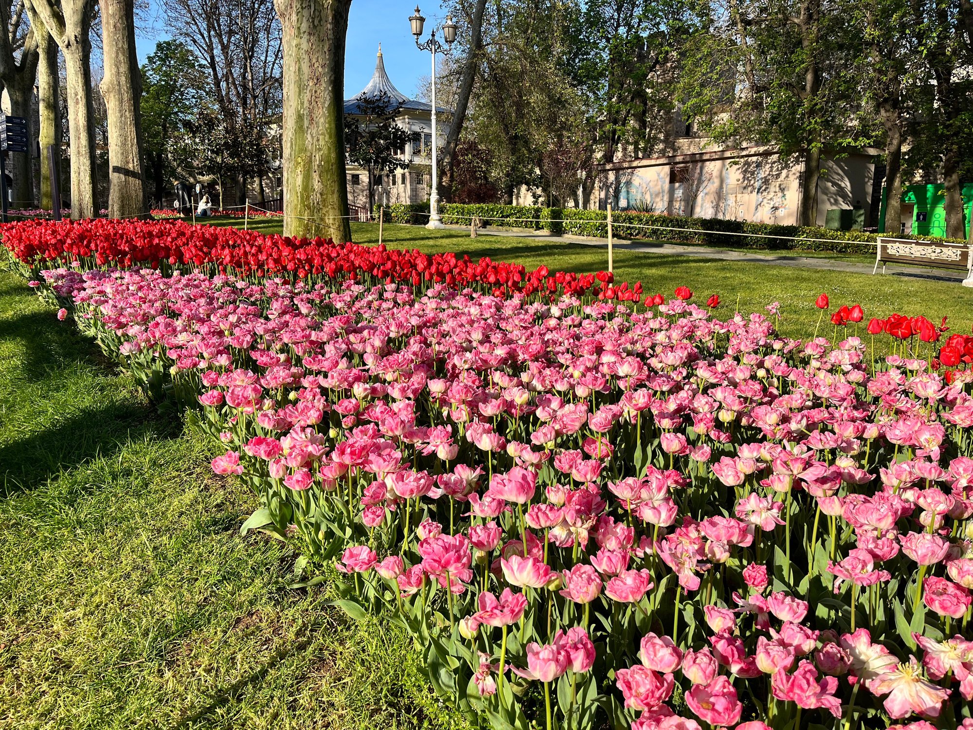 Tulip Festival in Gulhane Park