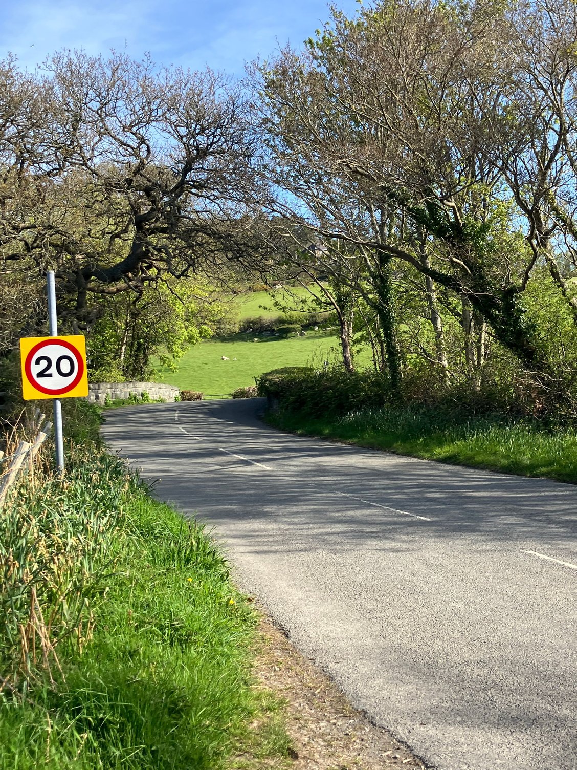 Road near my cottage