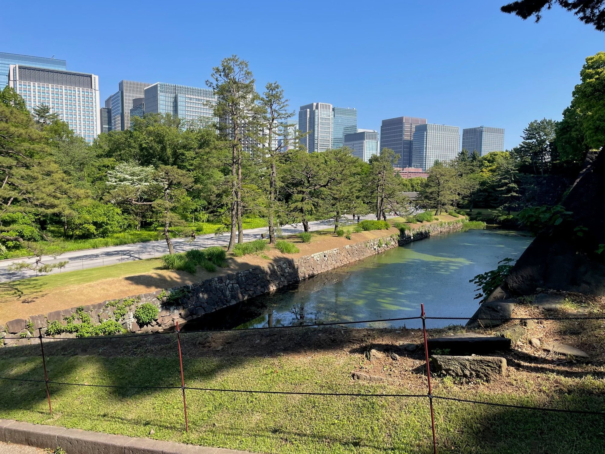 Coming down the hill on the way to the gardens. The Palace is up on a hill.  We learned that a lot of Tokyo is on re-claimed land like the Dutch.  At one point the ocean came up to here.
