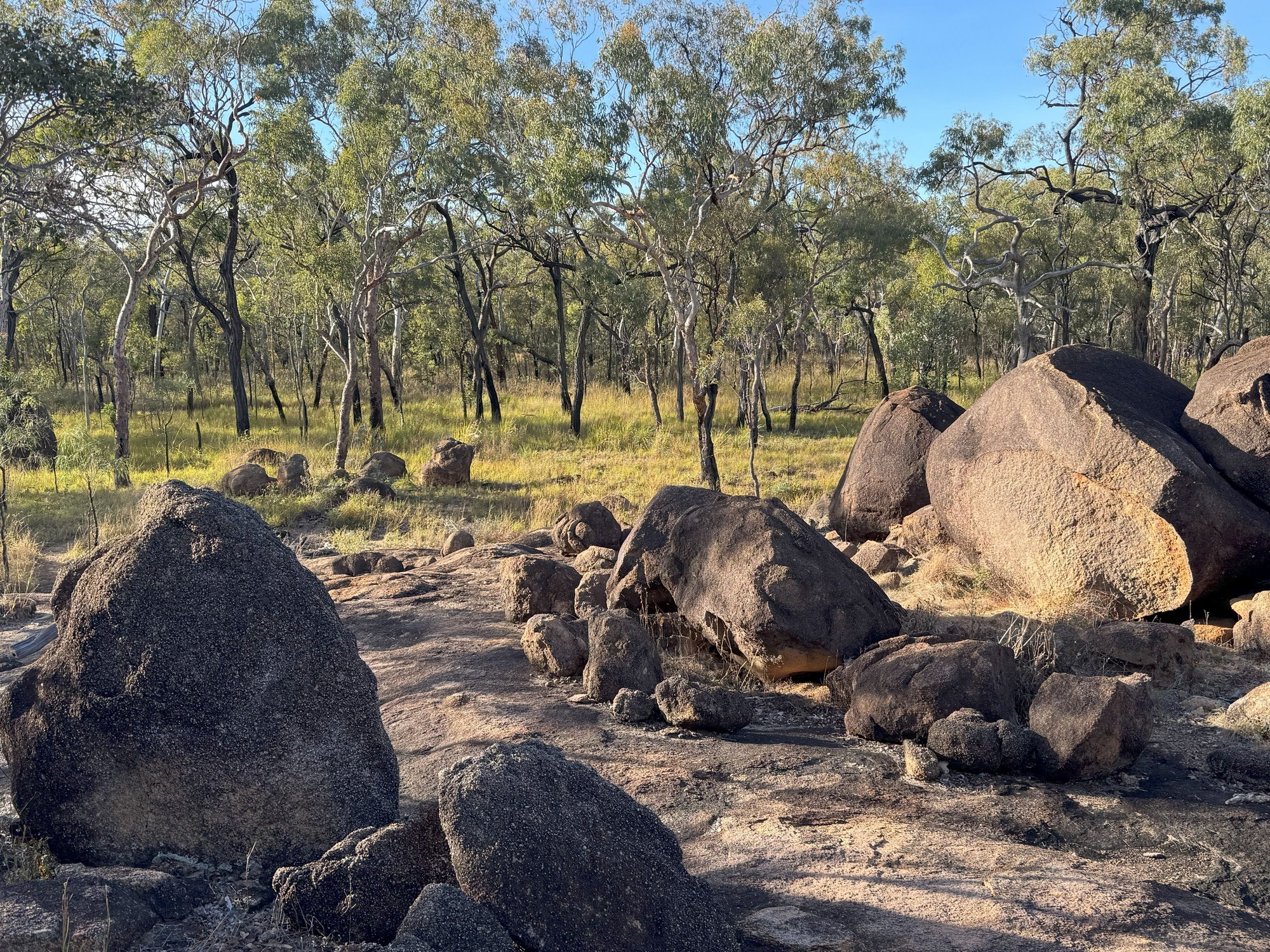 Savannah and boulders galore