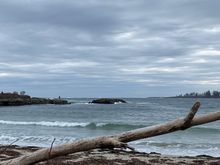 Rough today. But beautifully natural. 