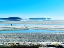 Raves: back in my hometown and the weather is spectacular and no fires here. This is the beach where I spent my childhood- happy days of clam digging, crabbing, swimming at high tide, rowing out to the islands to explore, many picnics and wiener roasts with friends.
Small rave: I am helping my mom sort out some very cluttered cupboards- she is a person who saves everything. This is good and bad-some fun finds it also a lot of dusty old magazines etc.