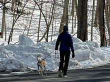 My little post-election “friend” - we “met” for the first time on that Saturday we knew who our new president would be. 