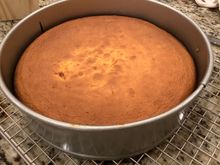 Nigella’s recipe enlarged by a quarter for my 9.5” springform pan.  (Her recipe called for an 8” pan)