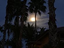 I wanted to show Zig the gorgeous moon but couldn’t get a good photo...