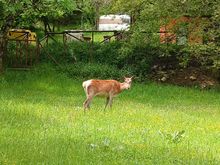 ... and walked up for a closer look