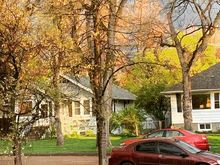 Looking like spring out my window last night. That’s my daughter’s free hand me down haul damaged Dodge Neon that sounds like a truck. It is so loud. 
