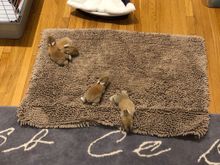 You might have to zoom in on this one. 