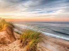 I see your footprints, so you  are already out for a walk. 