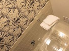 Narrow glass shelf over toilet, one step up shower.