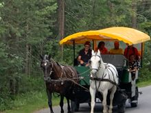 The second carriage carrying the rest of the group 
