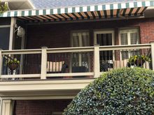 Yellow million bells on bedroom deck