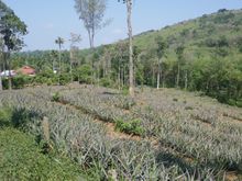 Overview of part of the family estate 