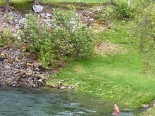 Crazy people in the freezing river 