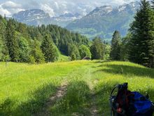 I’m lucky in that I live in Central Switzerland which allows me to explore on my e-bike. Today I was in a place that few know, even the locals. Nature pure. It was. The first time I heard the loud buzzing of bees and other insects simply due to lack of no other noises. 