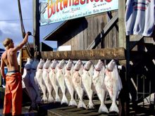 Homer, Halibut capital of the world 