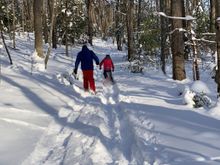 Snowshoeing