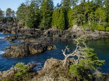 'Oyster Jim' Martin and his team have created a series of wonderful walkways and lookouts along the trail.