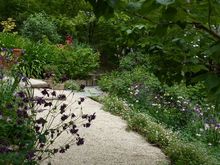 Lots of meandering paths