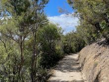 The vegetation starts to change as we get further north