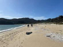 We got off the boat at Awaroa. The 25 or so people on the boat dispersed quickly, and we soon saw almost no one for over 2 hours.