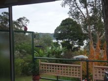 At her home - always lots of wild birda