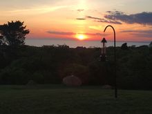 Watching the sunset with my bird friends. Mr. Gruezi got them a new feeder. A gorgeous weekend. Milk and honey. 