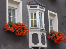 No garden, no problem...