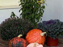 From our Autumn outing...