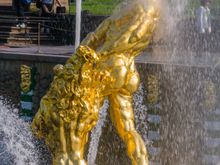 The fountains 